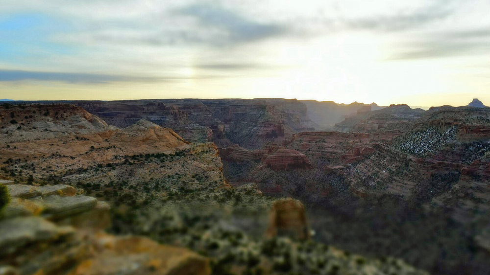 Nature in a canyon like scenery. 